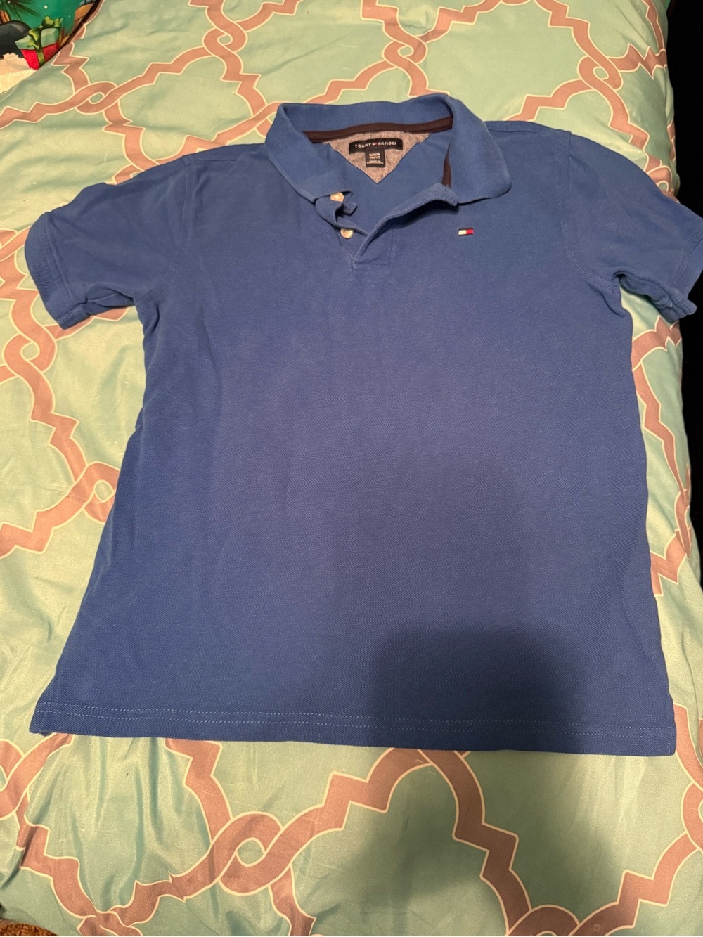 Tommy Hilfiger Boys Blue Polo